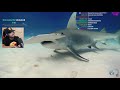 ImDontai Reacts To Shark Tier List And Cat Tier List