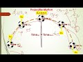 Science 9 (4th Quarter - Week 1.2) : Projectile Motion (Tagalog)