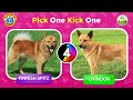 Would You Rather...? DOGS Edition 🐶 Which Dog is Cuter? | Quiz Kingdom