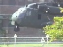 Harrier & Helicopters at Philadelphia Navy Depot