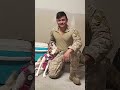 US Marine Reunited With Homeless Dog He Cared For Overseas