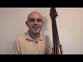 How to play chords on the Upright Bass | Bass Techniques with Colin