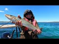 BEST WHITING FISHING ON THE PLANET? — Port Sorell, Tasmania