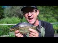 TENCH FISHING ON THE FLOAT