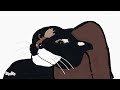 Black cat vibe