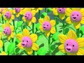 Musical Munch | Rainbow Ruby | Cartoons for Kids | WildBrain Enchanted