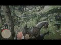 Red Dead Redemption 2_20220425220749