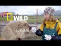 Giant Pandas 101 | Nat Geo Wild