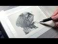 Key Components Of Fur - Drawing Realistic Fur Tutorial | How To Draw Fur Step By Step Do’s & Don’ts