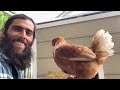 Chicken Coop Plan using tinktube | How to build | DIY step-by-step free tutorial