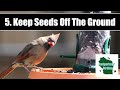 5 Ways to Keep Problem Birds Away from your Bird Feeders