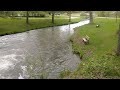 The Fish Hatchery Decorah Iowa