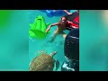 Most Incredible Moments Ever Caught On Camera !