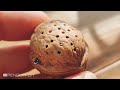 Amazing walnut speaker - DIY Bluetooth speaker by walnut