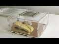 Formicarium ant nest build