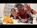 Father & Son TOY BOX ULTRA DINO SURPRISE ! / Zuru Smashers