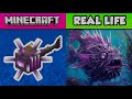 Minecraft vs real life ( mobs, items, blocks, entity)