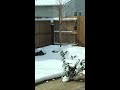 Snow before Thanksgiving in Sparks NV - Nov. 2020