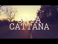 Gata Cattana  - Gotham