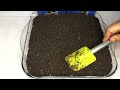 Oreo Dessert in 5 minutes | Only 3 Ingredients | No Baking and No Gelatin | Eggless Dessert |