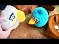 Angry Birds Plush | King Pigs Great Plan!