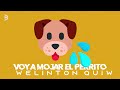 🐶💦 Voy a Mojar el Perrito - Welinton Quiw (Video Lirycs)