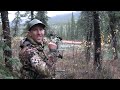 Alaska Moose Hunt. 2 archery kills