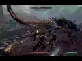 Awesome Dragon Fight
