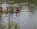 ZRB 2008 Finale Nieuwelingen 4+