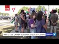 Pro-Palestinian protesters gather outside University of South Florida