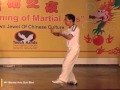 300 Years of Hakka Kung Fu