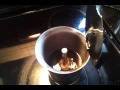 Moka espresso coffee maker in action