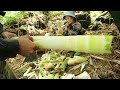 Harvest giant bamboo shoots, Processing and preserving for many months | Live with nature