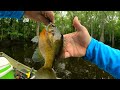 Summer bluegill spawning tips - Bream fishing shallow and deep