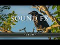 SOUND FX - Crow Cawing (×4)