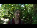 Exploring an Orchid Garden in Monteverde, Costa Rica | Travel Vlog