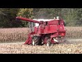 INTERNATIONAL 815 Combine Harvesting Corn