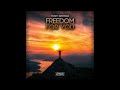 Tony Irrmani - Freedom For You