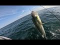 I Tossed a LIVE SARDINE! along this Damaged GULF PIER and Caught THIS!