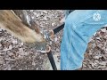 A Stand-up Kindling Splitting