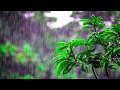 Twilight Serenade | Piano Bliss with Soothing Rain & Bird Sounds. Perfect Relaxation & Sleep Music