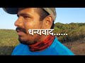 एकटेच राहतात सह्याद्रीच्या घनदाट जंगलातील घरात | कुसूर पठार | Lives Alone Into Dense Forest | Kusur