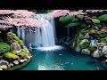 Japanese Waterfalls ASMR