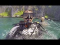 My Phuket Dive at Phi Phi Island