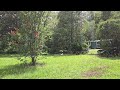 Relaxing Sunshower On Our 5.71 Acre North Florida Homestead