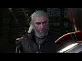 Witcher Schools: School of The Viper - Witcher Lore - Witcher Mythology - Witcher 3 lore