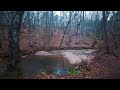 Cold Relaxing Walk in the Rain, Binaural Rain and Nature Sounds for Study and Sleep ASMR