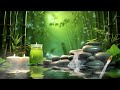 Relaxing Music With The Sound Of Water and Chirping Birds 🍀 Peaceful Space For Meditation, Sleep