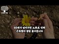 80대가 되면 더 이상 돌이킬 수 없습니다ㅣ인생의 마지막 혼자서도 후회없이 보내려면ㅣ노후의 행복을 위해 반드시 알아야 할 습관ㅣ노년 인생조언ㅣ인생의 지혜ㅣ오디오북