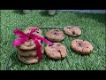 The Best Chewy Chocolate Chip Cookies Recipe by WajeeCooks